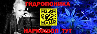 винт Аша