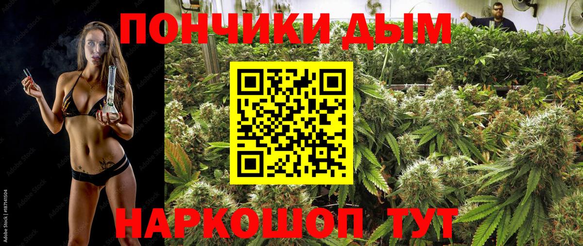 Шишки марихуана план Коркино